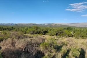Antigua Capilla de Panaholma