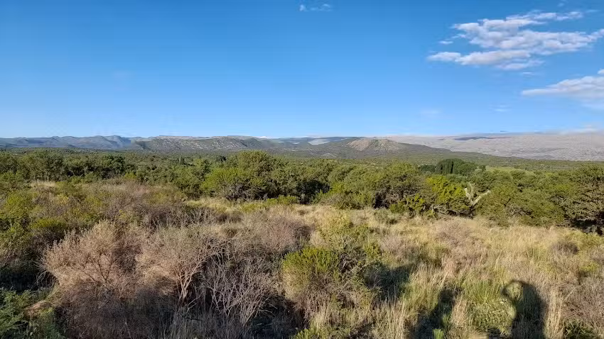 Antigua Capilla de Panaholma