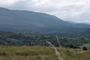 Capilla Nuestro Señor de la Salud