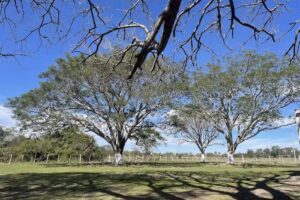 Capilla San Cayetano