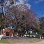 Capilla San Eugenio De Mazenod