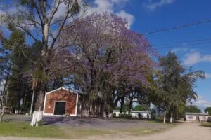 Capilla San Eugenio De Mazenod