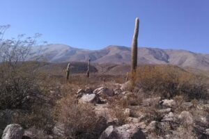 Capilla Santa Rita de Cascia. Minas Capillitas