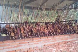 Capilla Virgen de ITATI Bella Vista Misiones