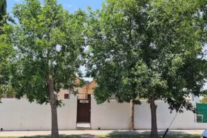 Hermanas Misioneras de la Caridad