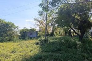 Hermita de san Francisco de As&iacute;s