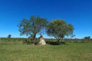 Hermita Nuestra Sra de Luján