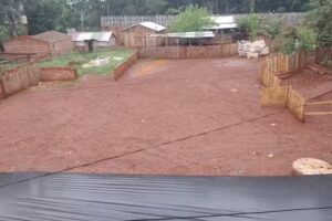 I. P. S. J San Pedro Misiones