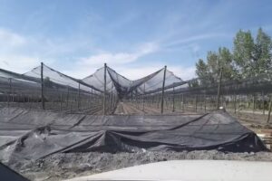 IGLESIA CRISTIAN EL BUEN SAMARITANO