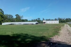 Iglesia de Dios (La Colonia)