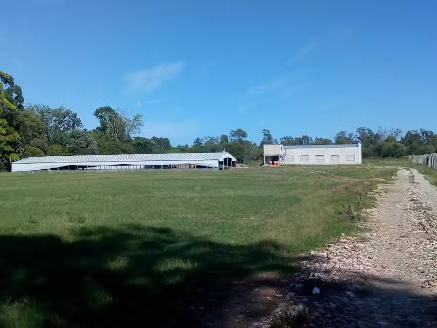 Iglesia de Dios (La Colonia)