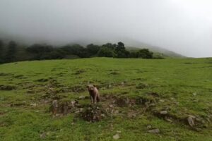 Iglesia de yaquispampa