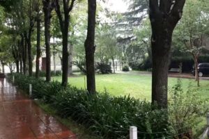 Iglesia Del Casamineto