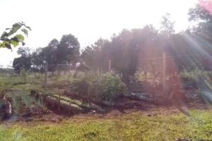 Iglesia Ev. CONGREGACIONAL