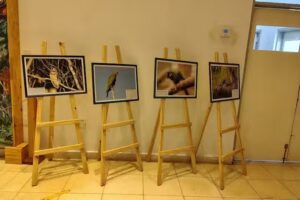 Iglesia Evangelica Misionera Biblica de Villa EMA.