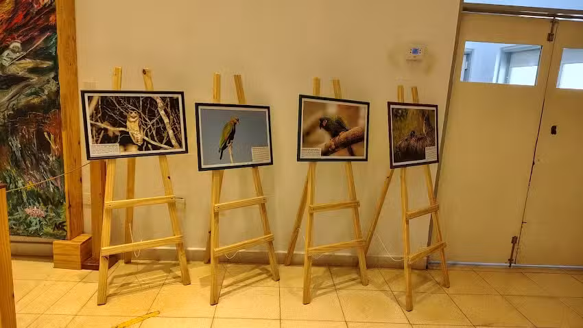 Iglesia Evangelica Misionera Biblica de Villa EMA.