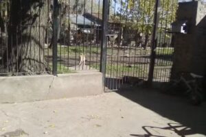 Iglesia Manuel Alberti