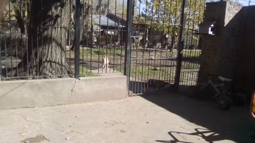 Iglesia Manuel Alberti