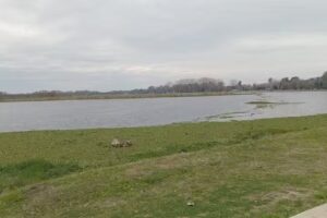 Iglesia Nueva Apost&oacute;lica