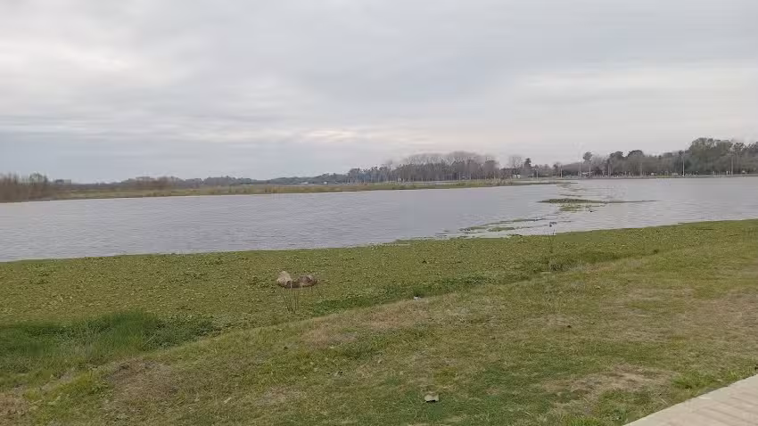 Iglesia Nueva Apost&oacute;lica