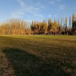 Iglesia Pentecostal Argentina