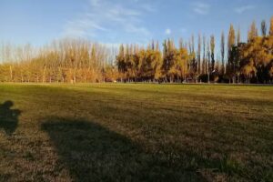 Iglesia Pentecostal Argentina