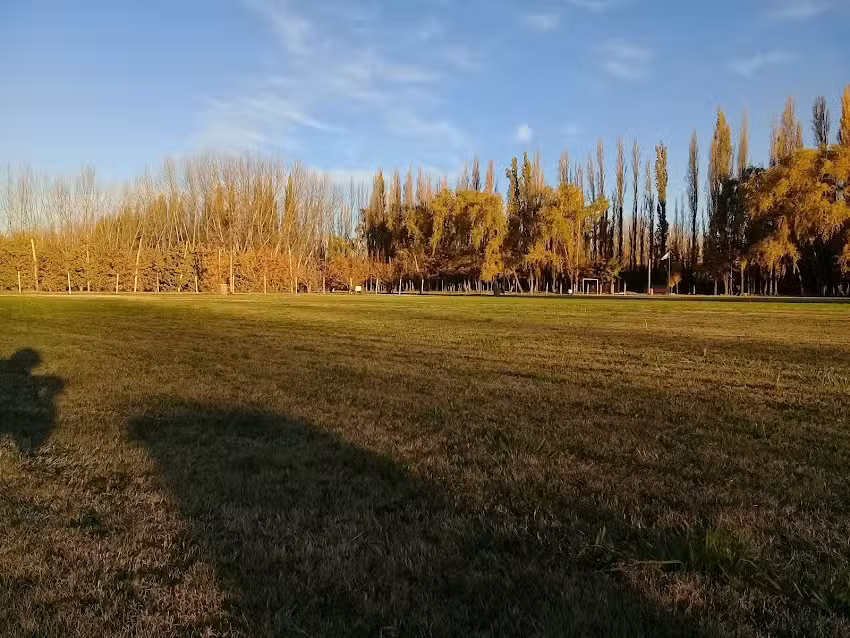 Iglesia Pentecostal Argentina