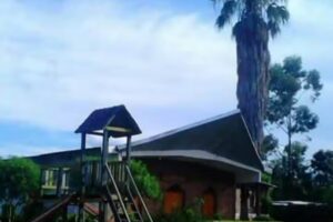 Iglesia Presbiteriana El Tr&aacute;fico