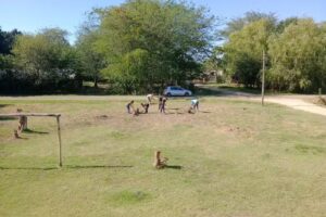 Iglesia Rey de Gloria