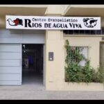 Iglesia Rios De Agua Viva