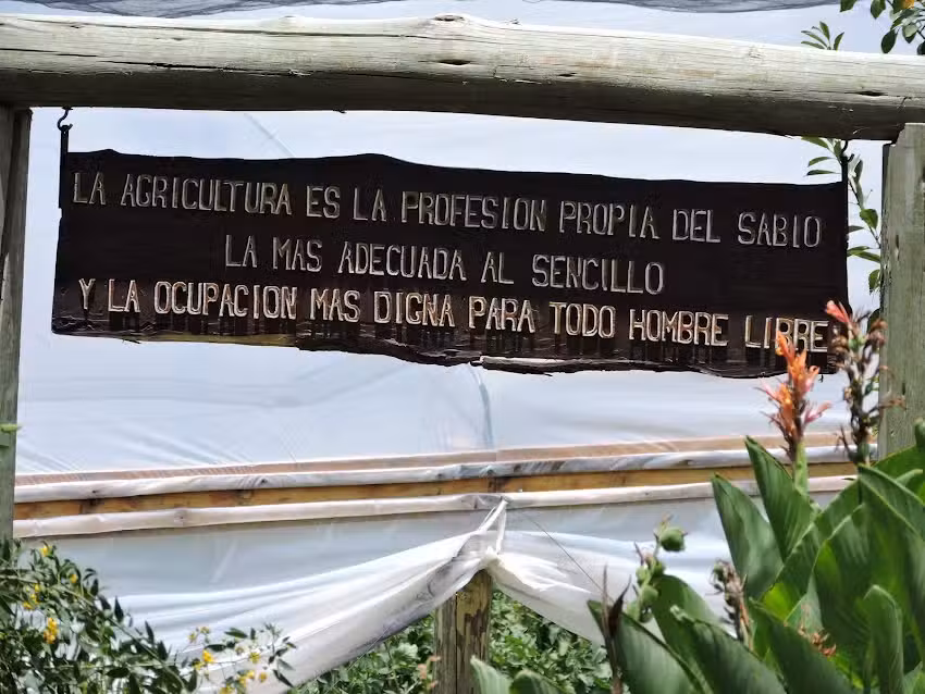 INSTITUTO SUPERIOR DE ESTUDIOS GN&Oacute;STICOS Y CULTURALES &ndash; ACADEMIA VERSALLES