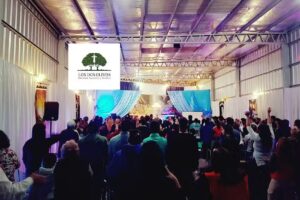 Los Dos Olivos Ministerio Apost&oacute;lico Y Prof&eacute;tico