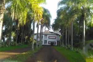 Parroquia CRISTO REDENTOR