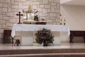 Parroquia Nuestra Se&ntilde;ora del Carmen