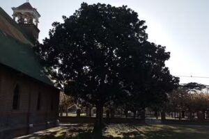 Parroquia San Jos&eacute; &ndash; Mones Caz&oacute;n