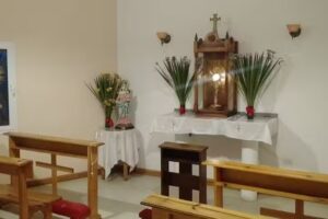 Parroquia San Luis Rey de Francia