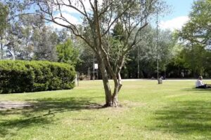 Quinta Cana&aacute;n &ldquo;Iglesia Filadelfia&rdquo;