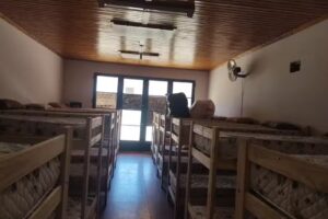 Rey de Salvación Olmos