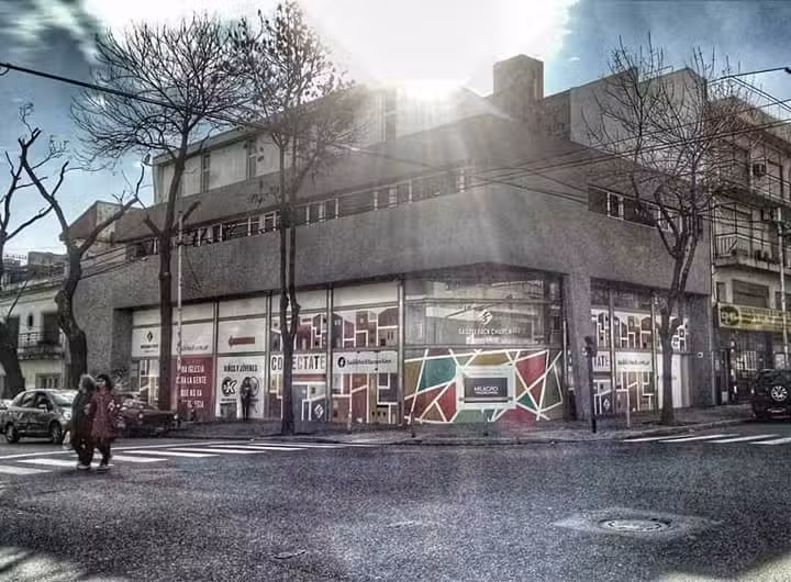 Saddleback Buenos Aires