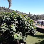 Salon de los Testigos de Jehova