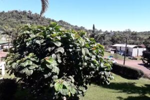 Salon de los Testigos de Jehova