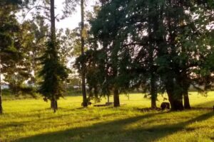 Seminario Mayor Diocesano “María, Madre De La Iglesia”