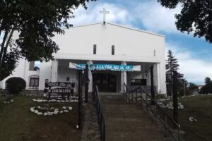 Vicar&iacute;a Ntra. Sra. Virgen de Guadalupe