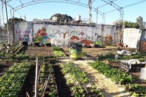 Vivero Terapéutico, Parroquia de Fátima y Centro de Salud Luzuriaga.